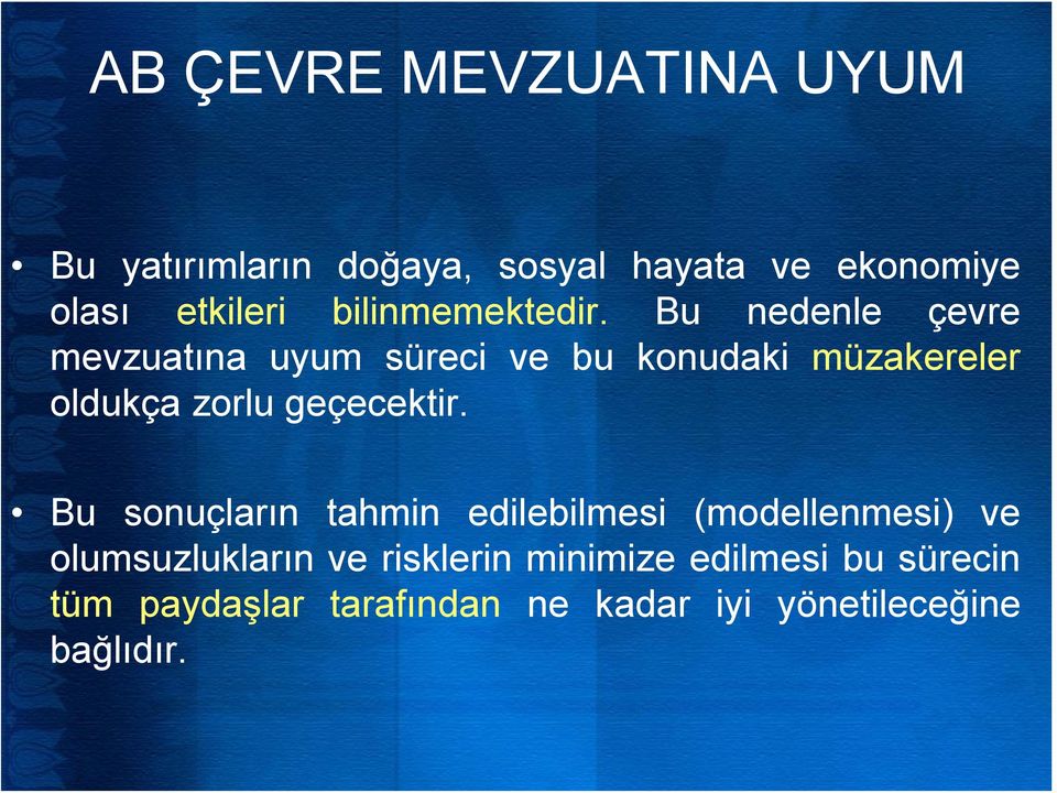 Bu nedenle çevre mevzuatına uyum süreci ve bu konudaki müzakereler oldukça zorlu geçecektir.