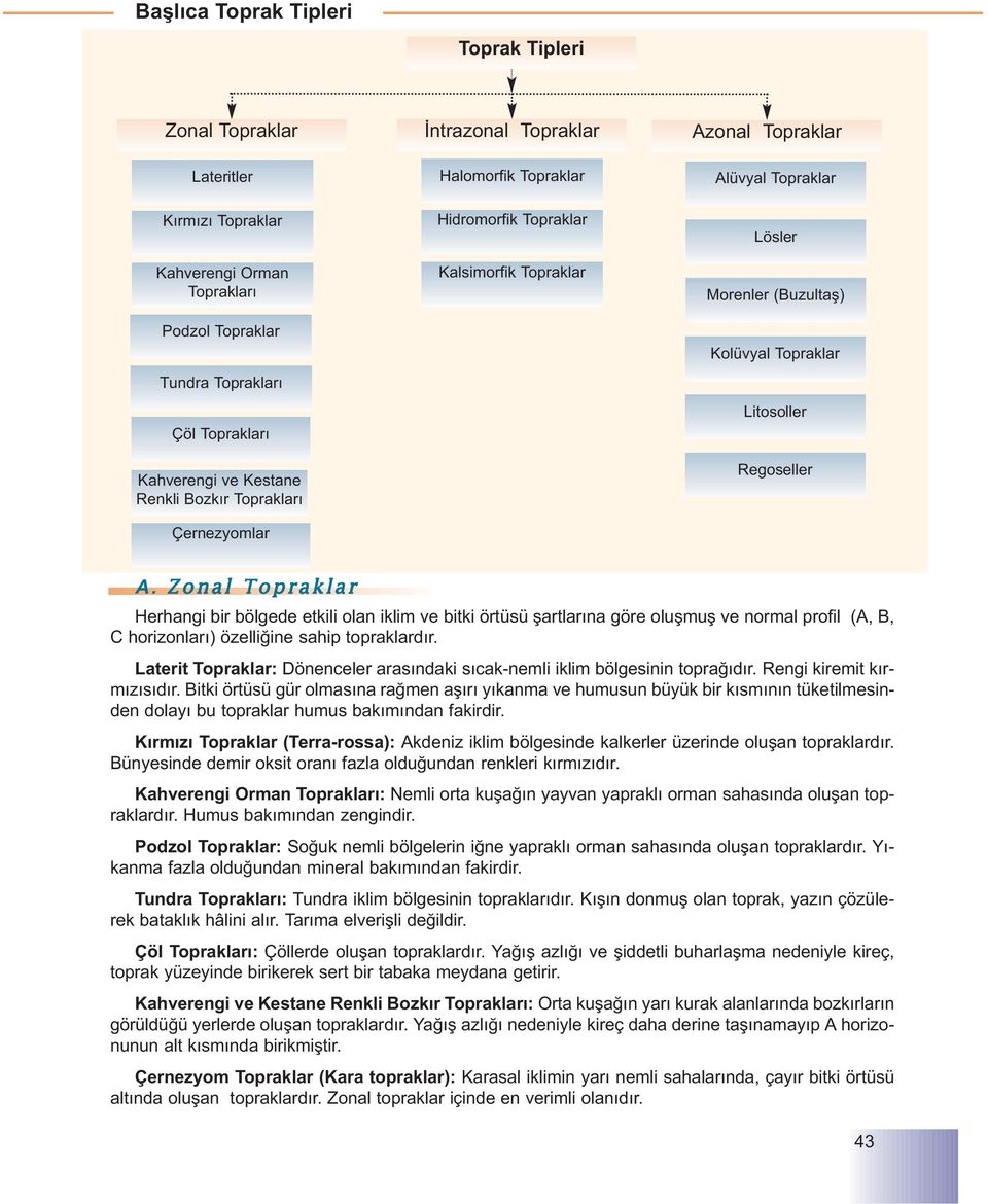 Litosoller Regoseller A. Zonal Topraklar Herhangi bir bölgede etkili olan iklim ve bitki örtüsü þartlarýna göre oluþmuþ ve normal profil (A, B, C horizonlarý) özelliðine sahip topraklardýr.