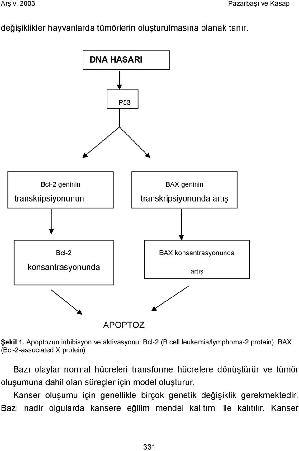 1. Apoptozun inhibisyon ve aktivasyonu: Bcl-2 (B cell leukemia/lymphoma-2 protein), BAX (Bcl-2-associated X protein) Bazı olaylar normal hücreleri