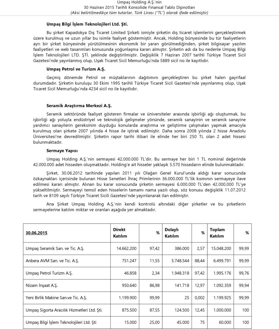 Ancak, Holding bünyesinde bu tür faaliyetlerin ayrı bir şirket bünyesinde yürütülmesinin ekonomik bir yararı görülmediğinden, şirket bilgisayar yazılım faaliyetleri ve web tasarımları konusunda