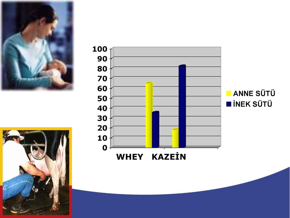 0 WHEY KAZEİN