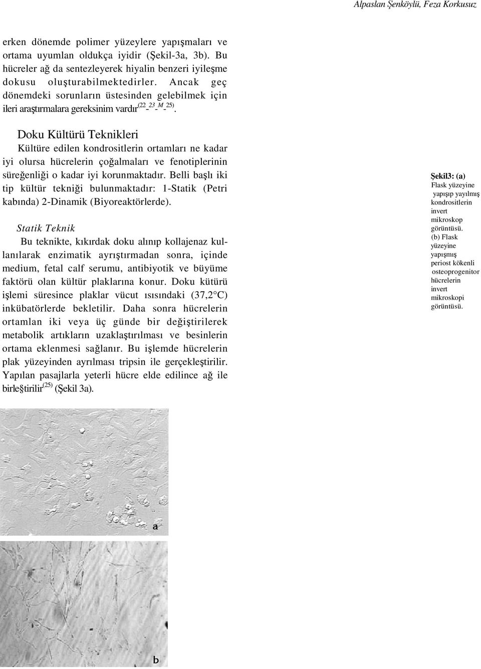 Ancak geç dönemdeki sorunların üstesinden gelebilmek için ileri araştırmalara gereksinim vardır (22-23 - M - 25).