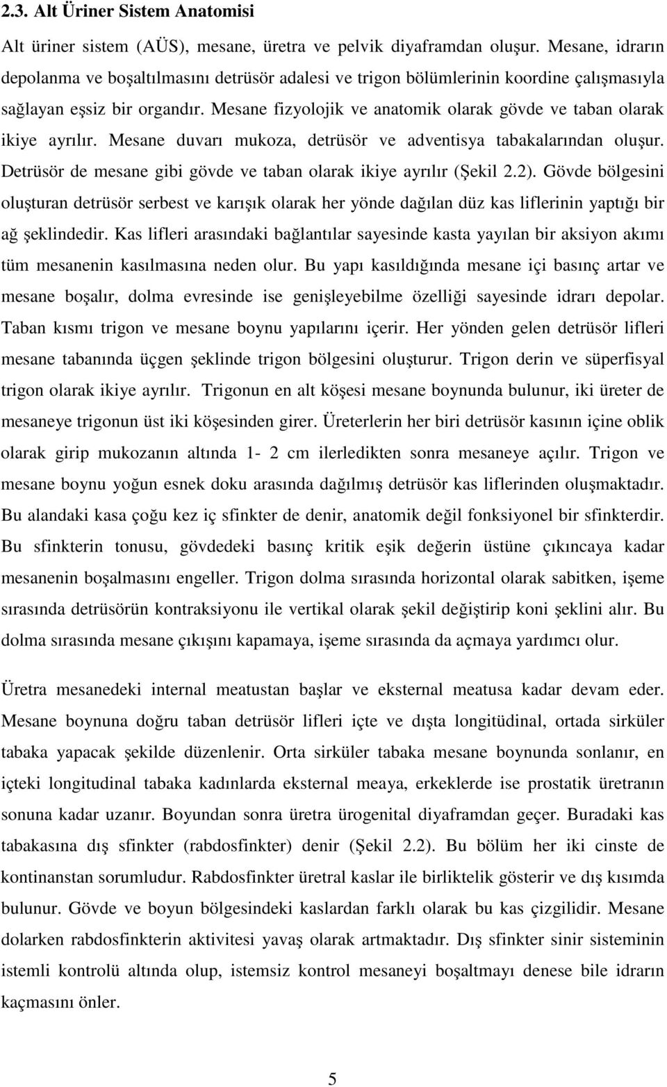 Mesane fizyolojik ve anatomik olarak gövde ve taban olarak ikiye ayrılır. Mesane duvarı mukoza, detrüsör ve adventisya tabakalarından oluşur.