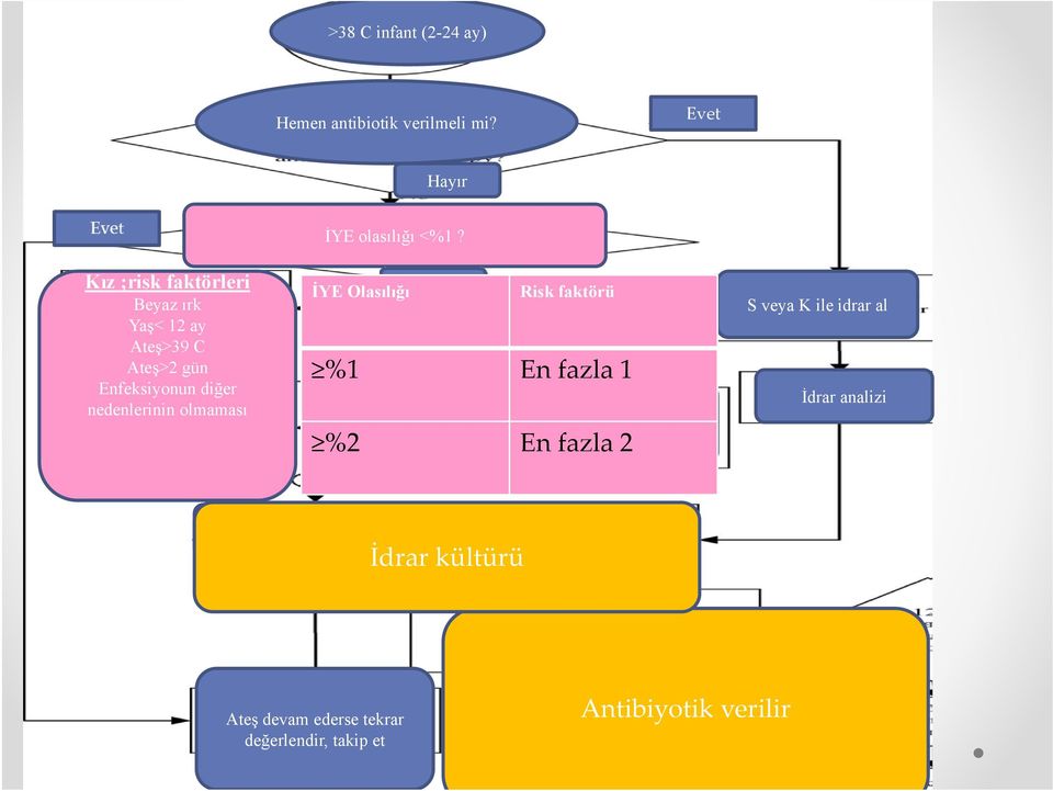 Enfeksiyonun diğer nedenlerinin olmaması Mikroskopi ile idrar analizi İYE olasılığı <%1?