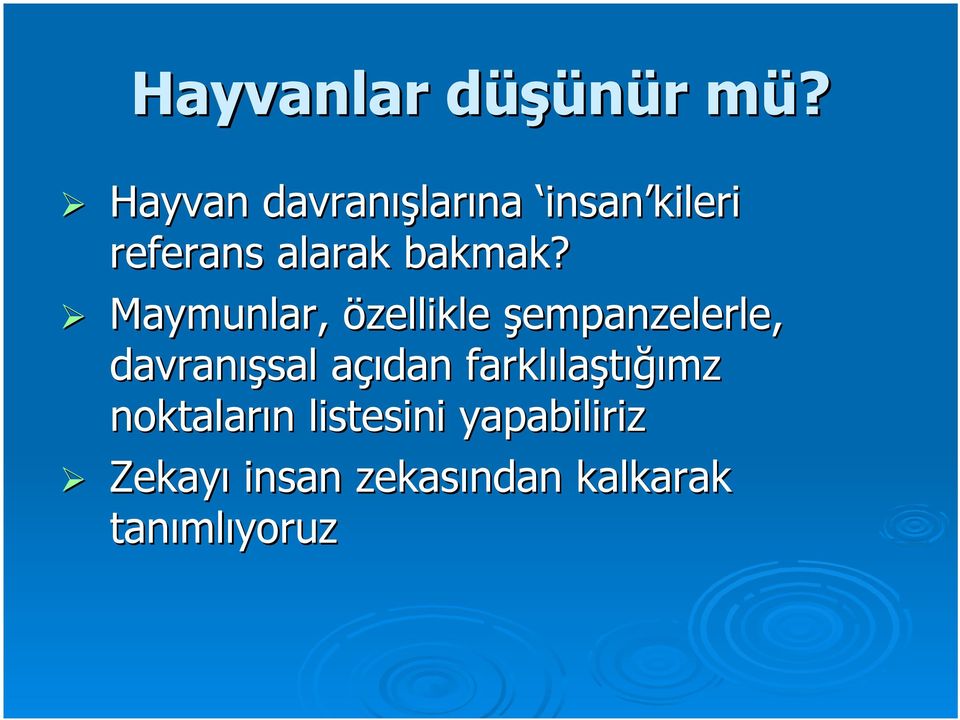 Maymunlar, özellikle şempanzelerle, davranışsal açıdan