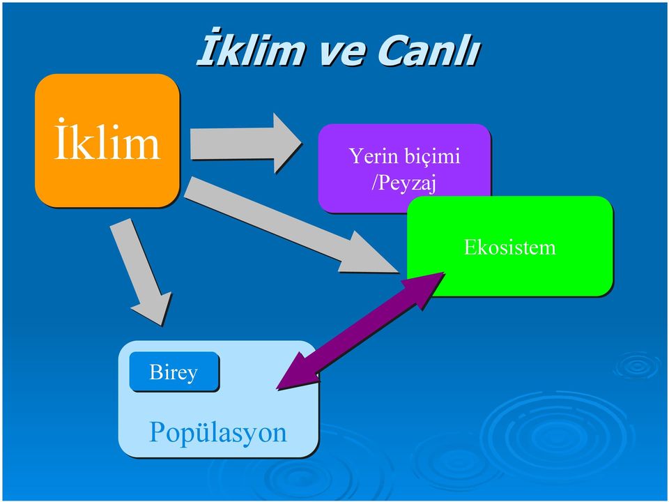 biçimi /Peyzaj