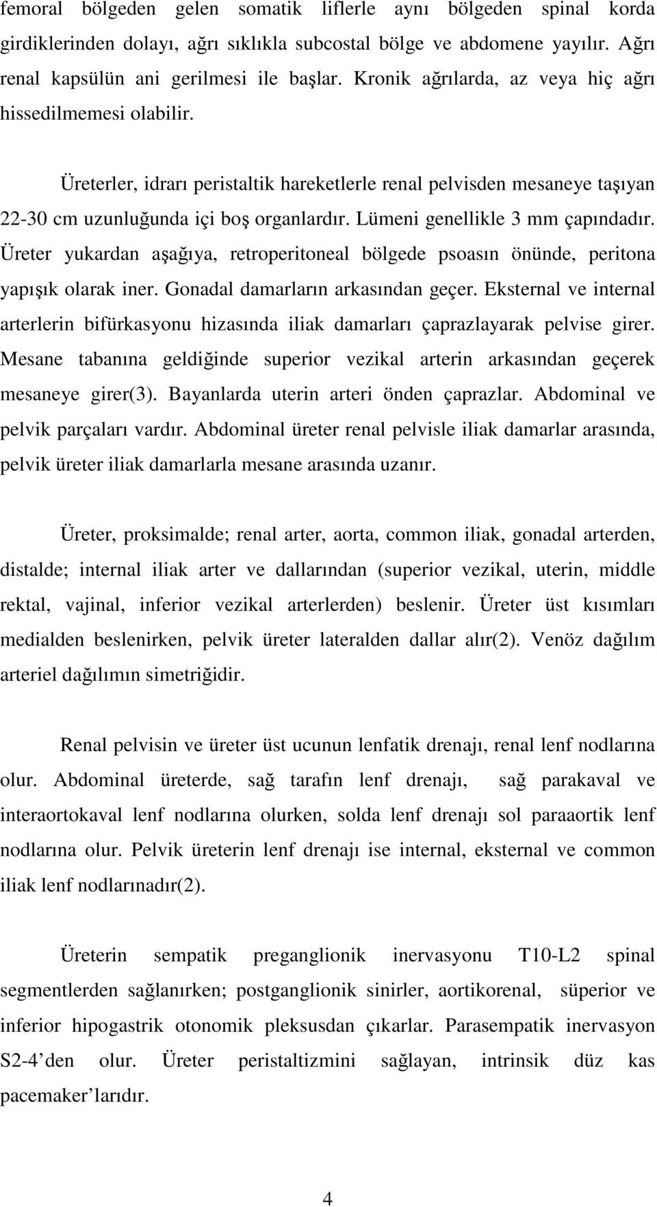 Lümeni genellikle 3 mm çapındadır. Üreter yukardan aşağıya, retroperitoneal bölgede psoasın önünde, peritona yapışık olarak iner. Gonadal damarların arkasından geçer.