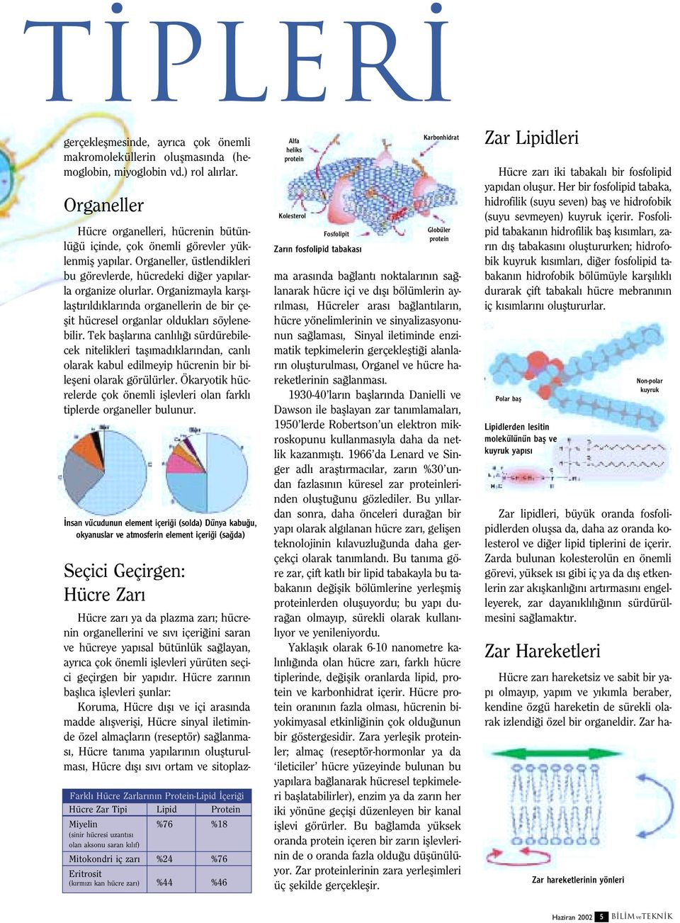 Organizmayla karfl - laflt r ld klar nda organellerin de bir çeflit hücresel organlar olduklar söylenebilir.