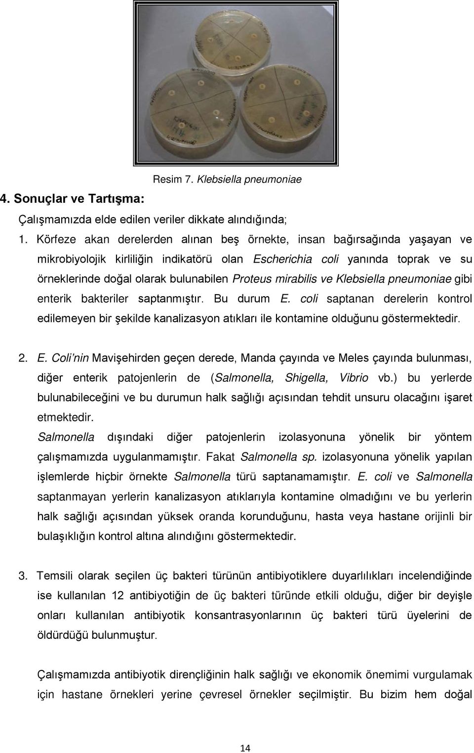 mirabilis ve Klebsiella pneumoniae gibi enterik bakteriler saptanmıştır. Bu durum E. coli saptanan derelerin kontrol edilemeyen bir şekilde kanalizasyon atıkları ile kontamine olduğunu göstermektedir.