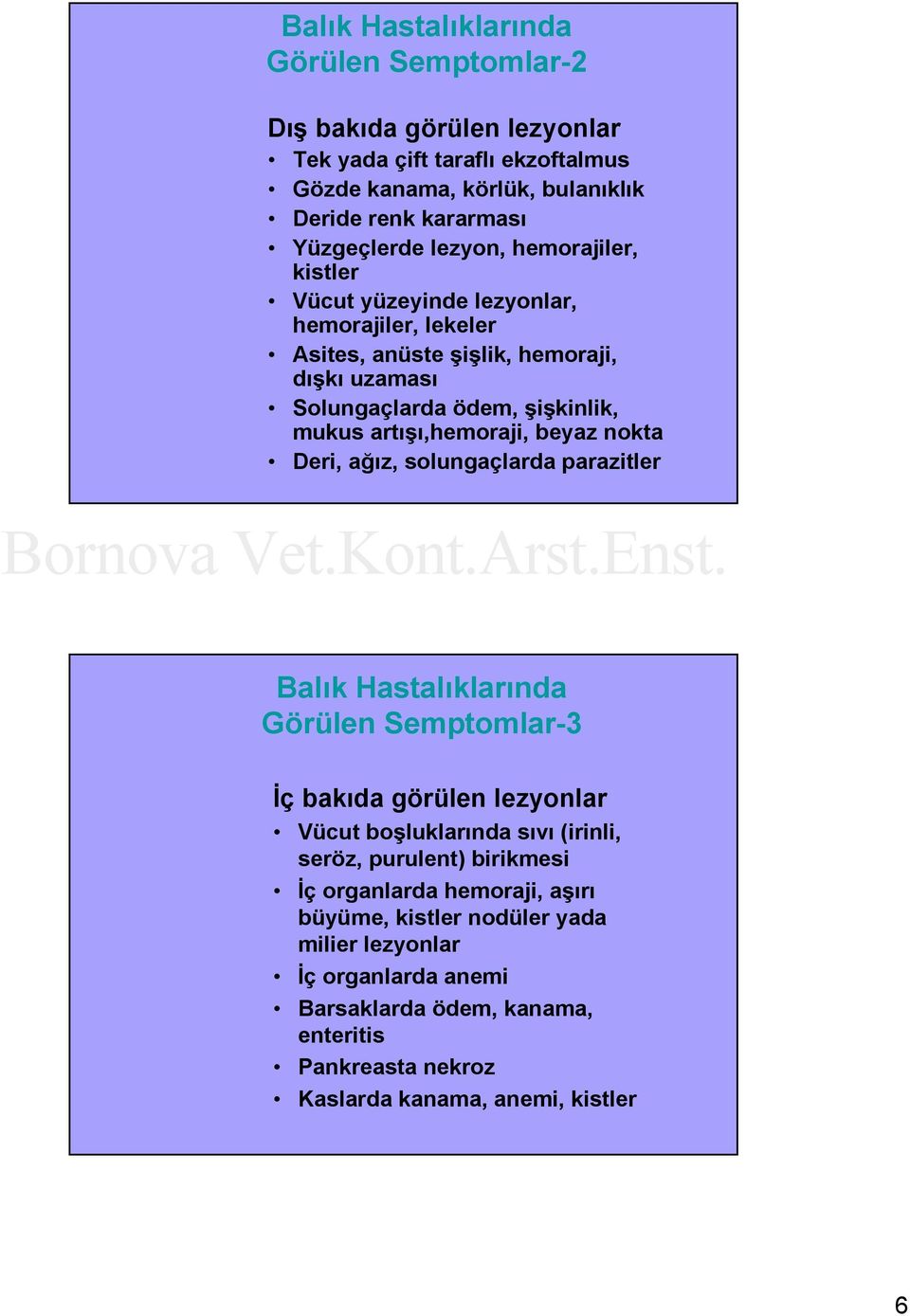 beyaz nokta Deri, ağız, solungaçlarda parazitler Balık Hastalıklarında Görülen Semptomlar-3 İç bakıda görülen lezyonlar Vücut boşluklarında sıvı (irinli, seröz, purulent)