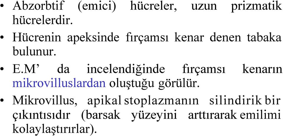 M da incelendiğinde fırçamsı kenarın mikrovilluslardan oluştuğu görülür.