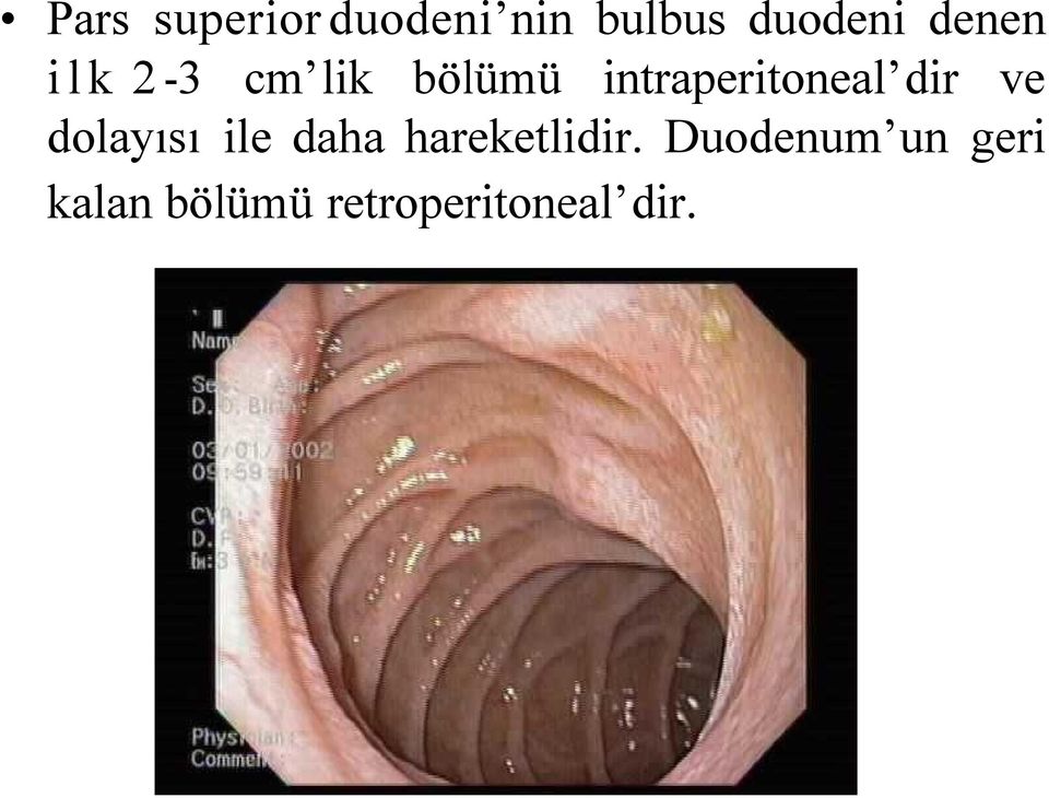 intraperitoneal dir ve dolayısı ile daha