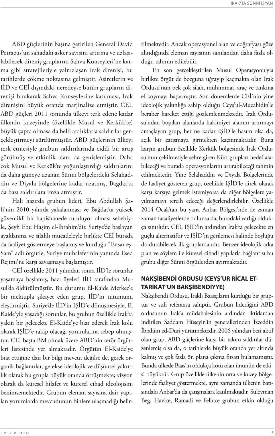 Aşiretlerin ve IİD ve CEİ dışındaki neredeyse bütün grupların direnişi bırakarak Sahva Konseylerine katılması, Irak direnişini büyük oranda marjinalize etmiştir.