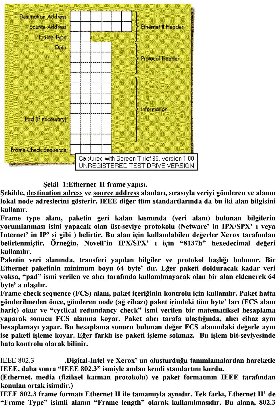 Frame type alanı, paketin geri kalan kısmında (veri alanı) bulunan bilgilerin yorumlanması işini yapacak olan üst-seviye protokolu (Netware in IPX/SPX ı veya Internet in IP si gibi ) belirtir.