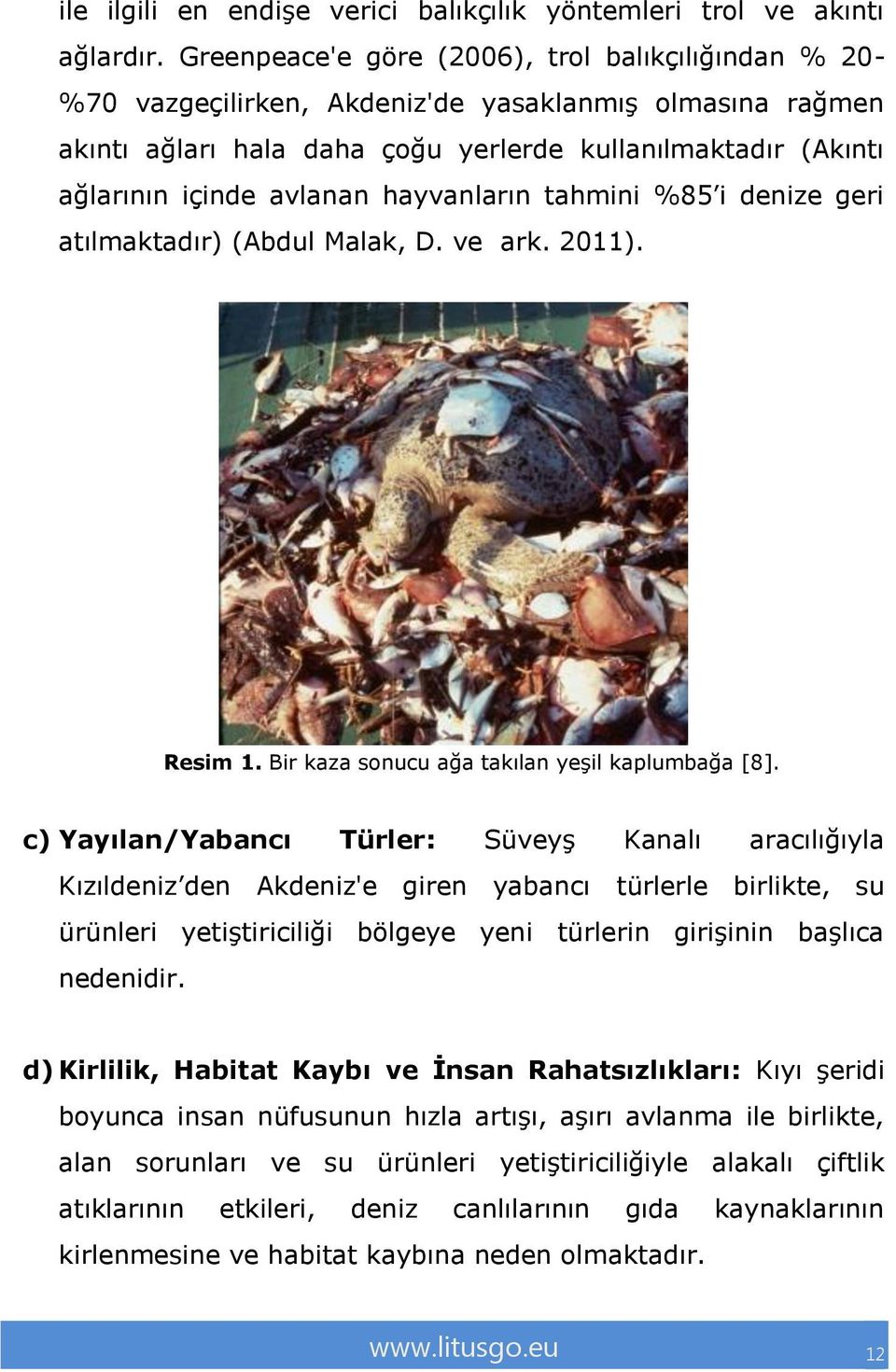 hayvanların tahmini %85 i denize geri atılmaktadır) (Abdul Malak, D. ve ark. 2011). Resim 1. Bir kaza sonucu ağa takılan yeşil kaplumbağa [8].