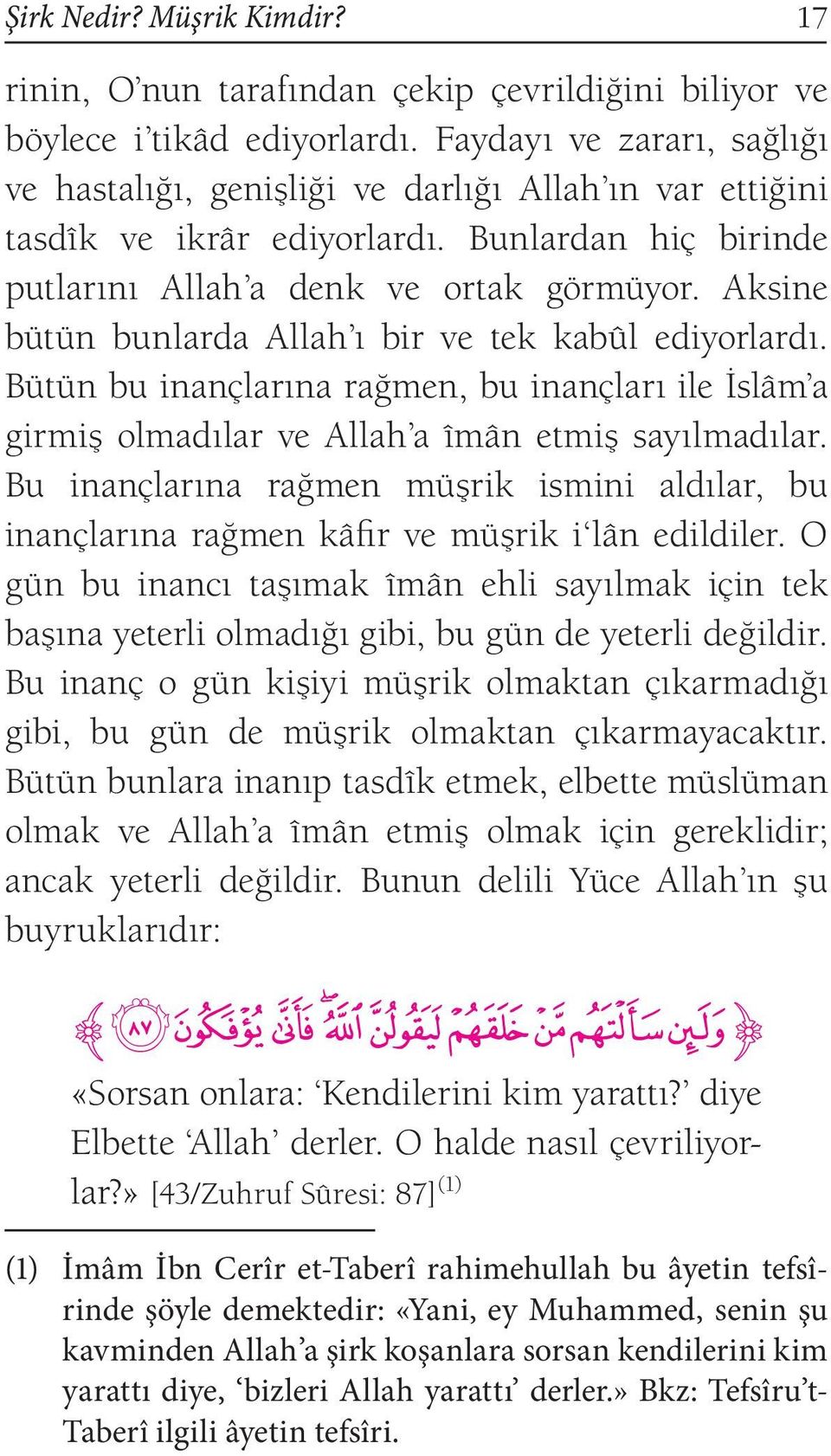 Aksine bütün bunlarda Allah ı bir ve tek kabûl ediyorlardı. Bütün bu inançlarına rağmen, bu inançları ile İslâm a girmiş olmadılar ve Allah a îmân etmiş sayılmadılar.