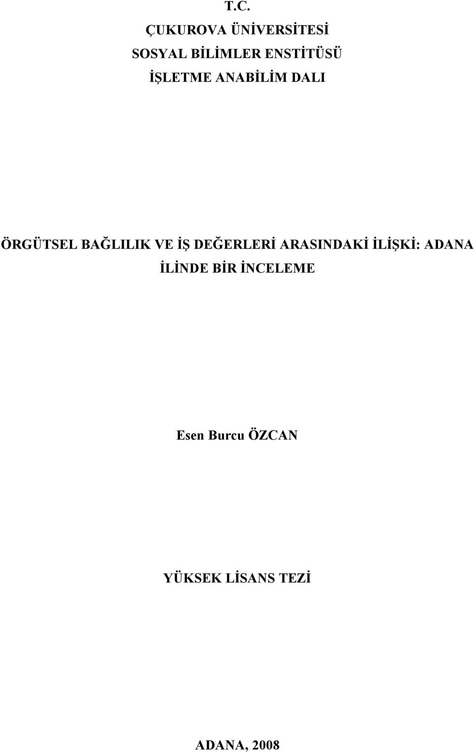 VE İŞ DEĞERLERİ ARASINDAKİ İLİŞKİ: ADANA İLİNDE