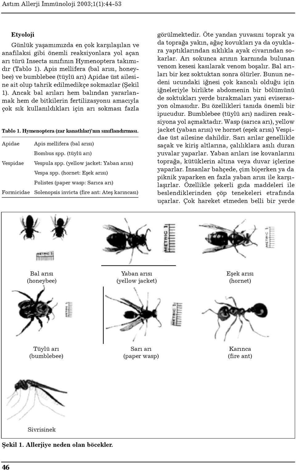 Ancak bal ar lar hem bal ndan yararlanmak hem de bitkilerin fertilizasyonu amac yla çok s k kullan ld klar için ar sokmas fazla Tablo 1. Hymenoptera (zar kanatl lar) n n s n fland rm a s.