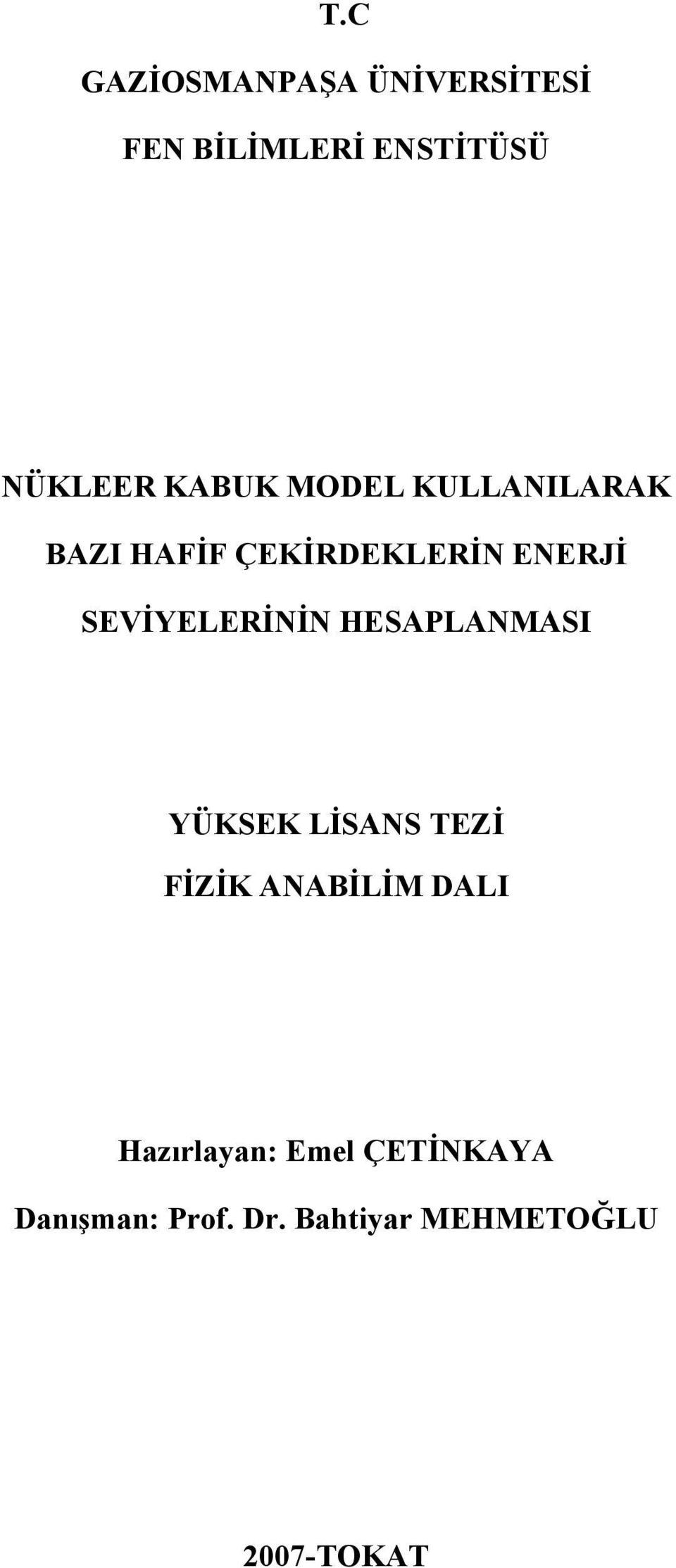 SEVİYELERİNİN HESAPLANMASI YÜKSEK LİSANS TEZİ FİZİK ANABİLİM DALI