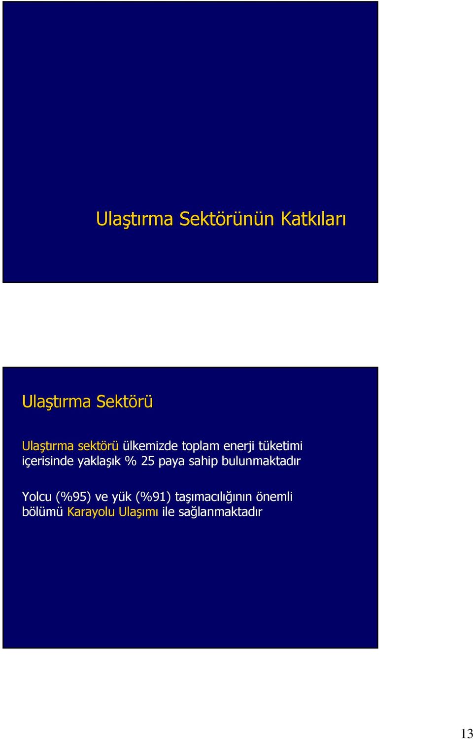 yaklaşık % 25 paya sahip bulunmaktadır Yolcu (%95) ve yük