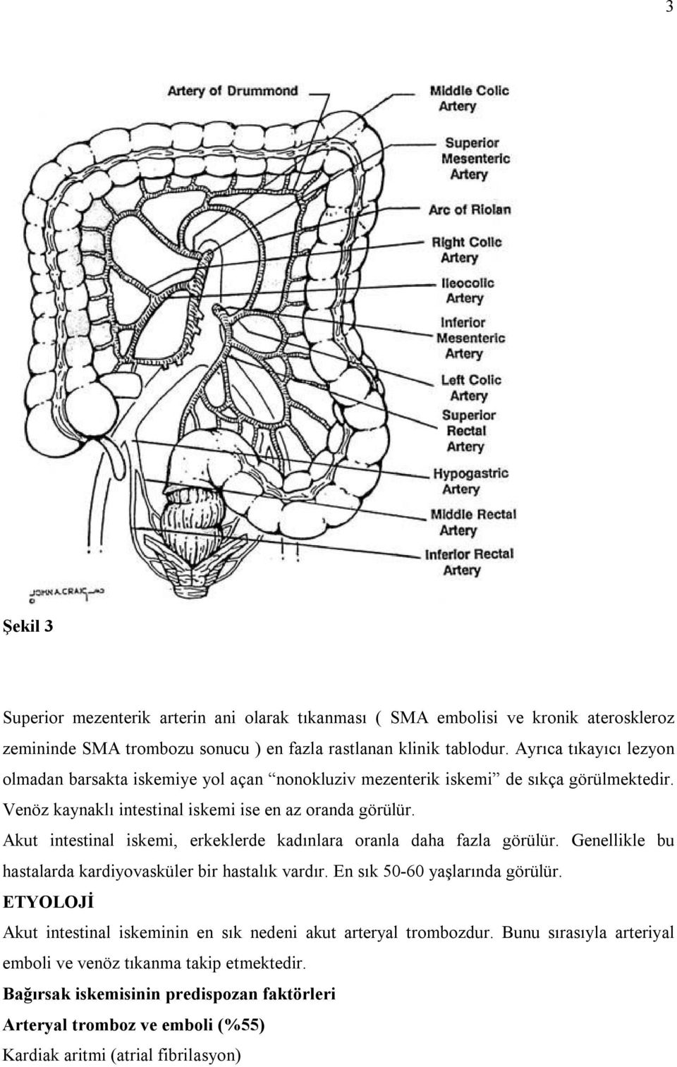 Akut intestinal iskemi, erkeklerde kadınlara oranla daha fazla görülür. Genellikle bu hastalarda kardiyovasküler bir hastalık vardır. En sık 50-60 yaşlarında görülür.