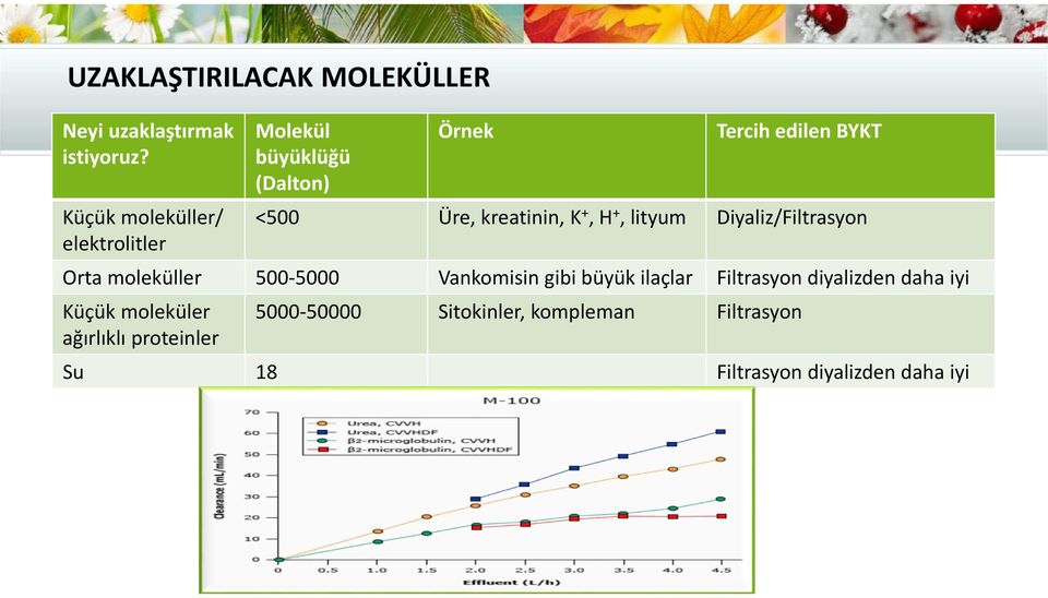 lityum Diyaliz/Filtrasyon elektrolitler Orta moleküller 500 5000 Vankomisin gibi büyük ilaçlar