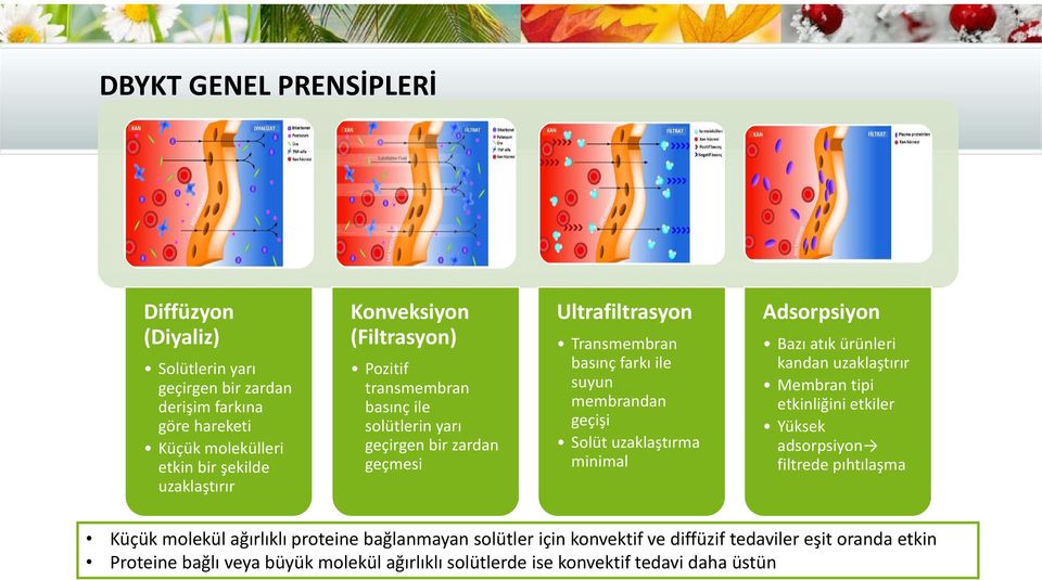 geçişi Solütuzaklaştırma minimal Adsorpsiyon Bazı atık ürünleri kandan uzaklaştırır Membran tipi etkinliğini etkiler Yüksek adsorpsiyon filtrede pıhtılaşma Küçük