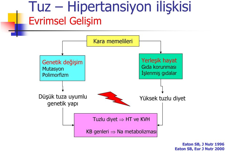 gıdalar Düşük tuza uyumlu genetik yapı Yüksek tuzlu diyet Tuzlu diyet HT