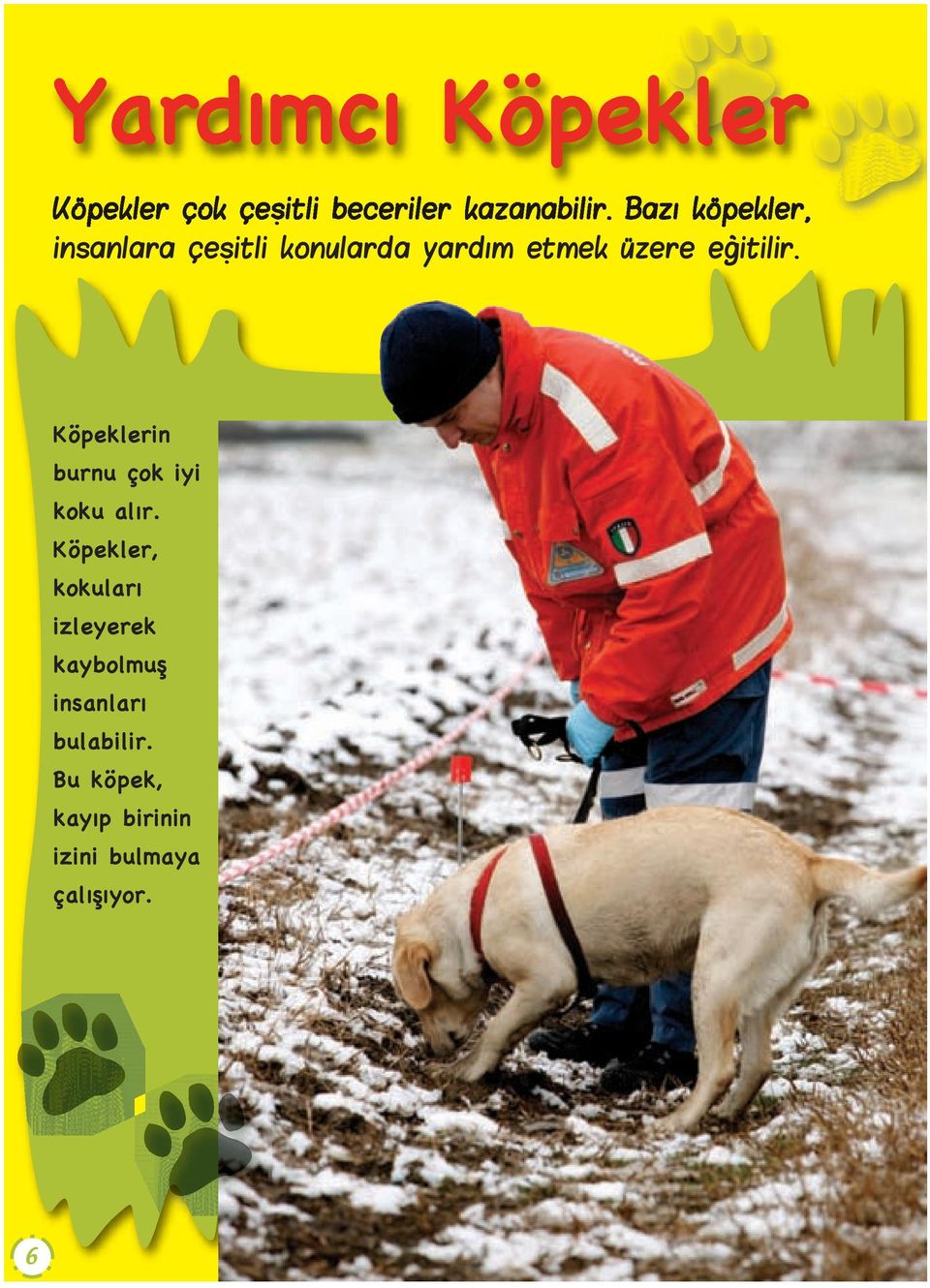 , Köpeklerin burnu çok iyi koku alır.