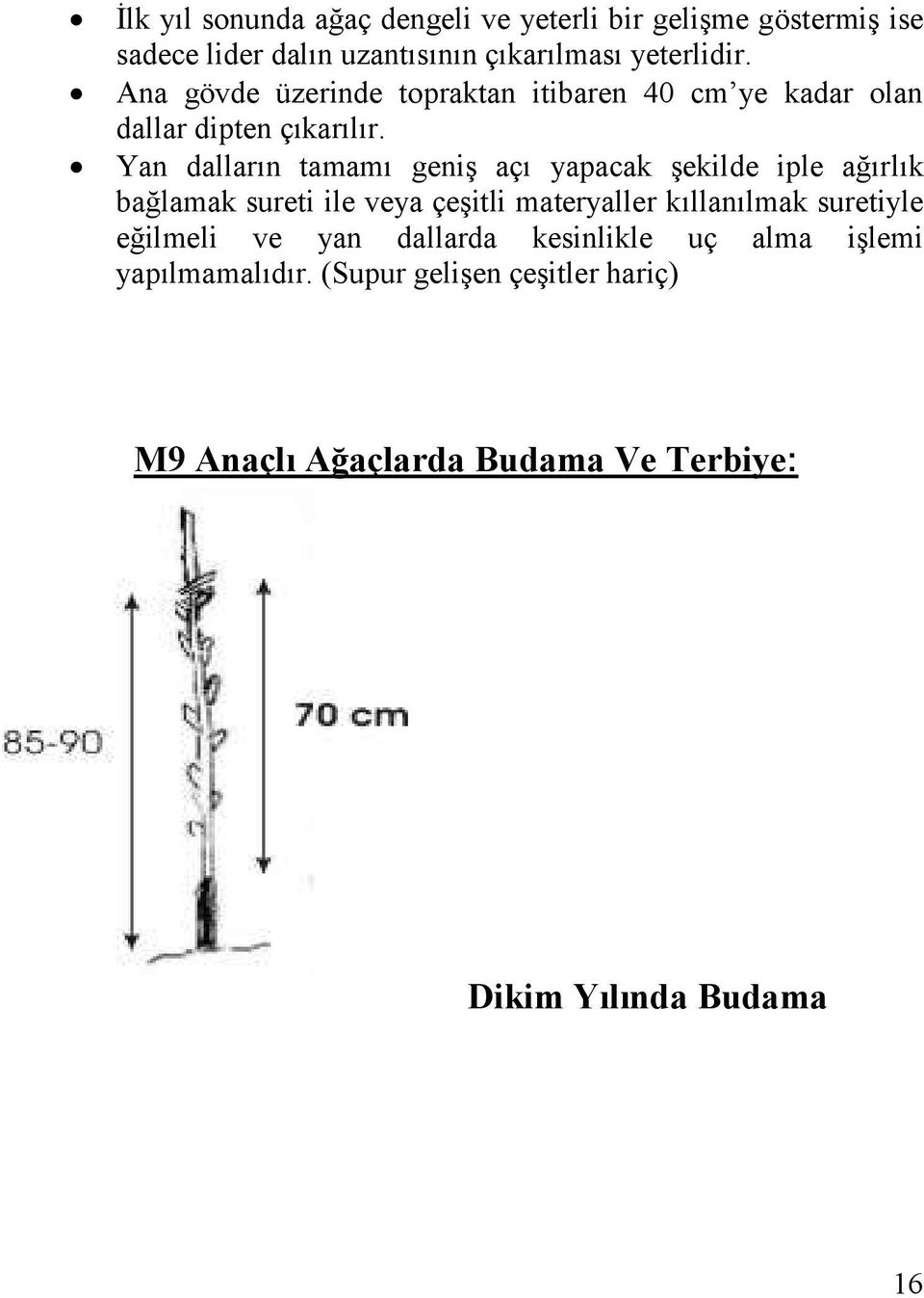 Yan dalların tamamı geniş açı yapacak şekilde iple ağırlık bağlamak sureti ile veya çeşitli materyaller kıllanılmak