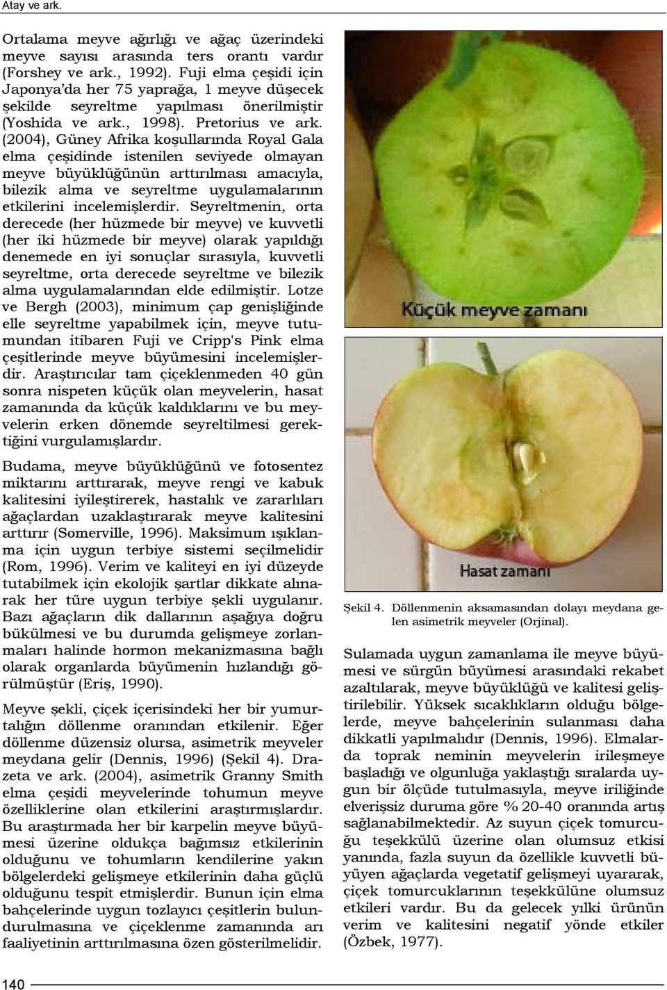 (2004), Güney Afrika koşullarında Royal Gala elma çeşidinde istenilen seviyede olmayan meyve büyüklüğünün arttırılması amacıyla, bilezik alma ve seyreltme uygulamalarının etkilerini incelemişlerdir.