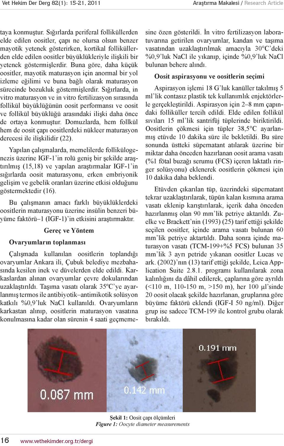 İn Ovaryumlar n vitro fertilizasyon karkastan laboratuvarına getirilen ovaryumlar, kandan ve taşıma al n p, elde edilen oositler, çapı ne olursa olsun benzer mayotik yetenek oositlerin gösterirken,