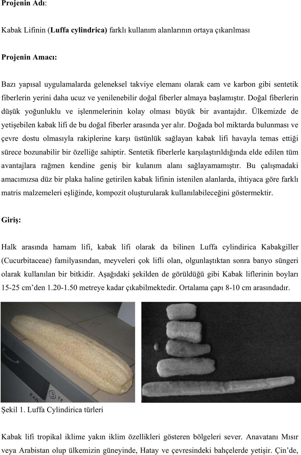 Ülkemizde de yetiebilen kabak lifi de bu doal fiberler arasında yer alır.