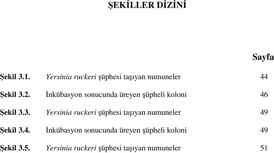 İnkübasyon sonucunda üreyen şüpheli koloni 46 Şekil 3.