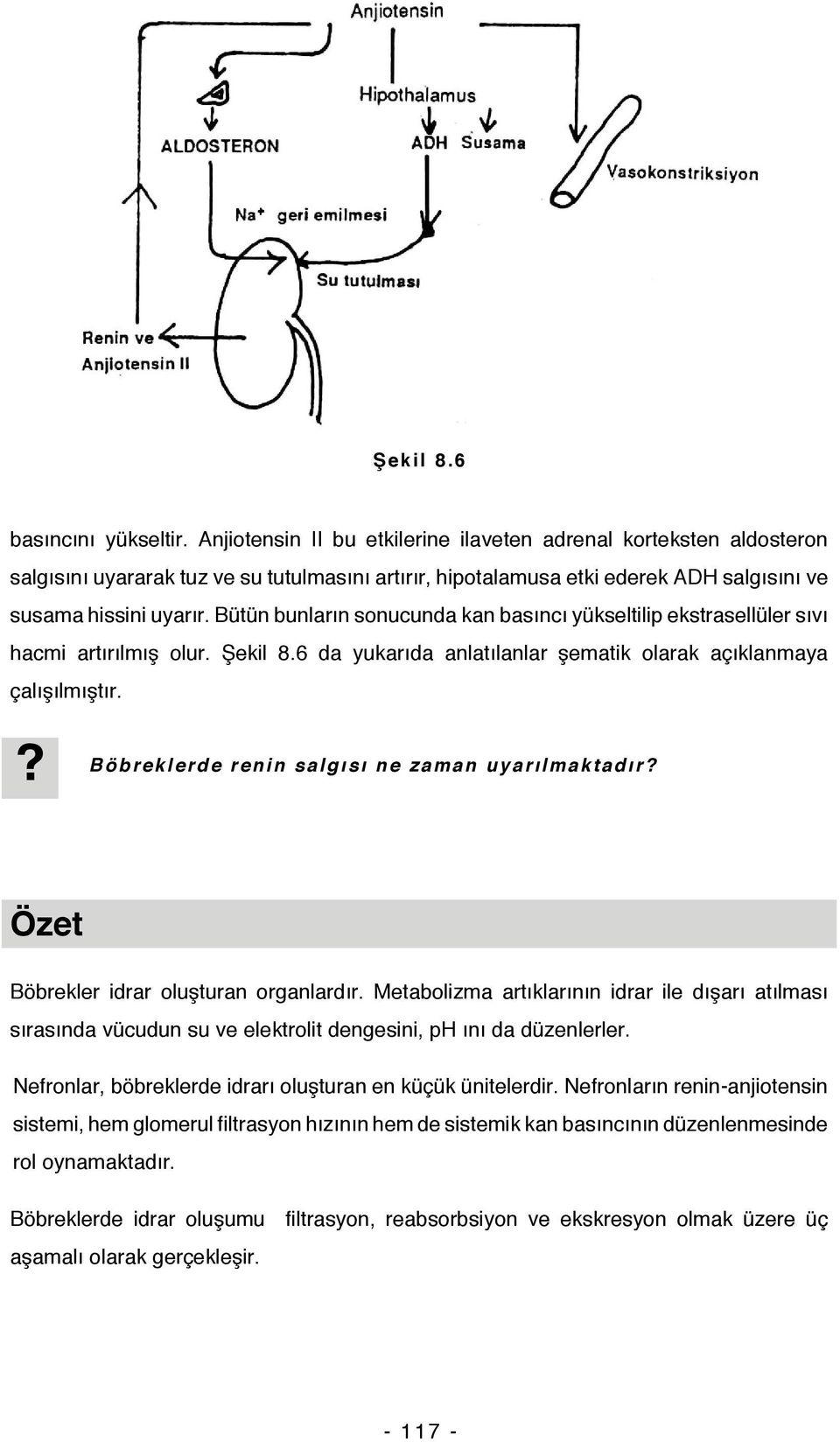 Bütün bunların sonucunda kan basıncı yükseltilip ekstrasellüler sıvı hacmi artırılmış olur. Şekil 8.6 da yukarıda anlatılanlar şematik olarak açıklanmaya çalışılmıştır.