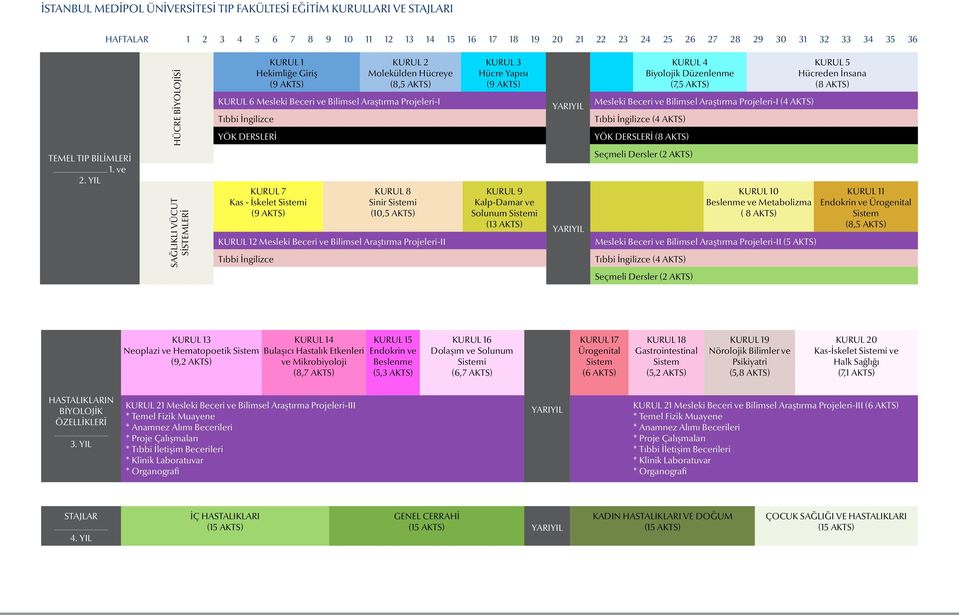 KURUL 4 Biyolojik Düzenlenme (7,5 AKTS) Mesleki Beceri ve Bilimsel Araştırma Projeleri-I (4 AKTS) Tıbbi İngilizce (4 AKTS) YÖK DERSLERİ (8 AKTS) KURUL 5 Hücreden İnsana (8 AKTS) TEMEL TIP BİLİMLERİ 1.