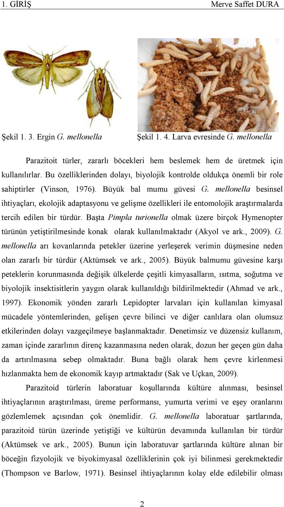 mellonella besinsel ihtiyaçları, ekolojik adaptasyonu ve gelişme özellikleri ile entomolojik araştırmalarda tercih edilen bir türdür.