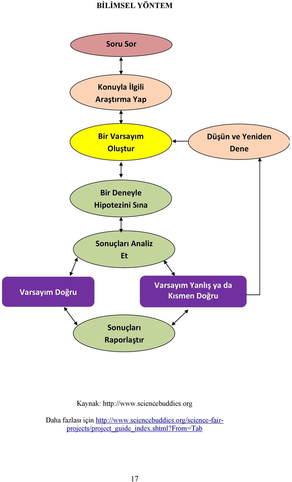 Yanlış ya da Kısmen Doğru Sonuçları Raporlaştır Kaynak: http://www.sciencebuddies.