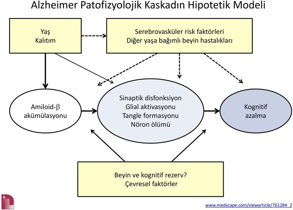 Sinaptik disfonksiyon Glial aktivasyonu Tangle formasyonu Nöron ölümü Kognitif