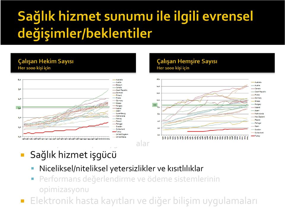 Niceliksel/niteliksel yetersizlikler ve kısıtlılıklar Performans değerlendirme