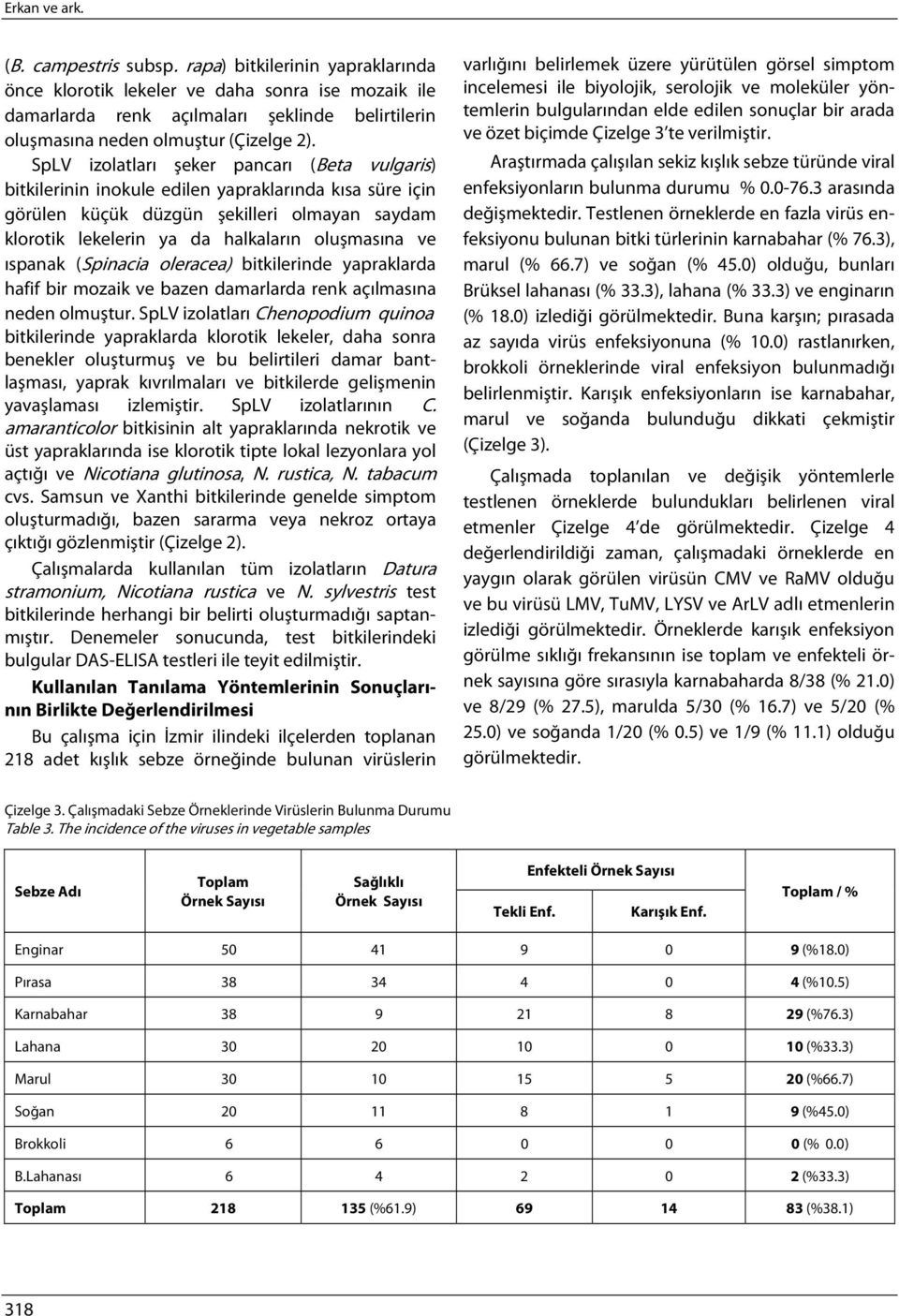 SpLV izolatları şeker pancarı (Beta vulgaris) bitkilerinin inokule edilen yapraklarında kısa süre için görülen küçük düzgün şekilleri olmayan saydam klorotik lekelerin ya da halkaların oluşmasına ve