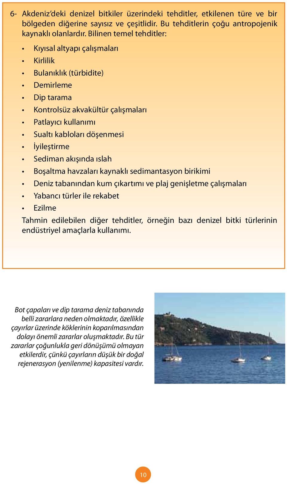 Sediman akışında ıslah Boşaltma havzaları kaynaklı sedimantasyon birikimi Deniz tabanından kum çıkartımı ve plaj genişletme çalışmaları Yabancı türler ile rekabet Ezilme Tahmin edilebilen diğer