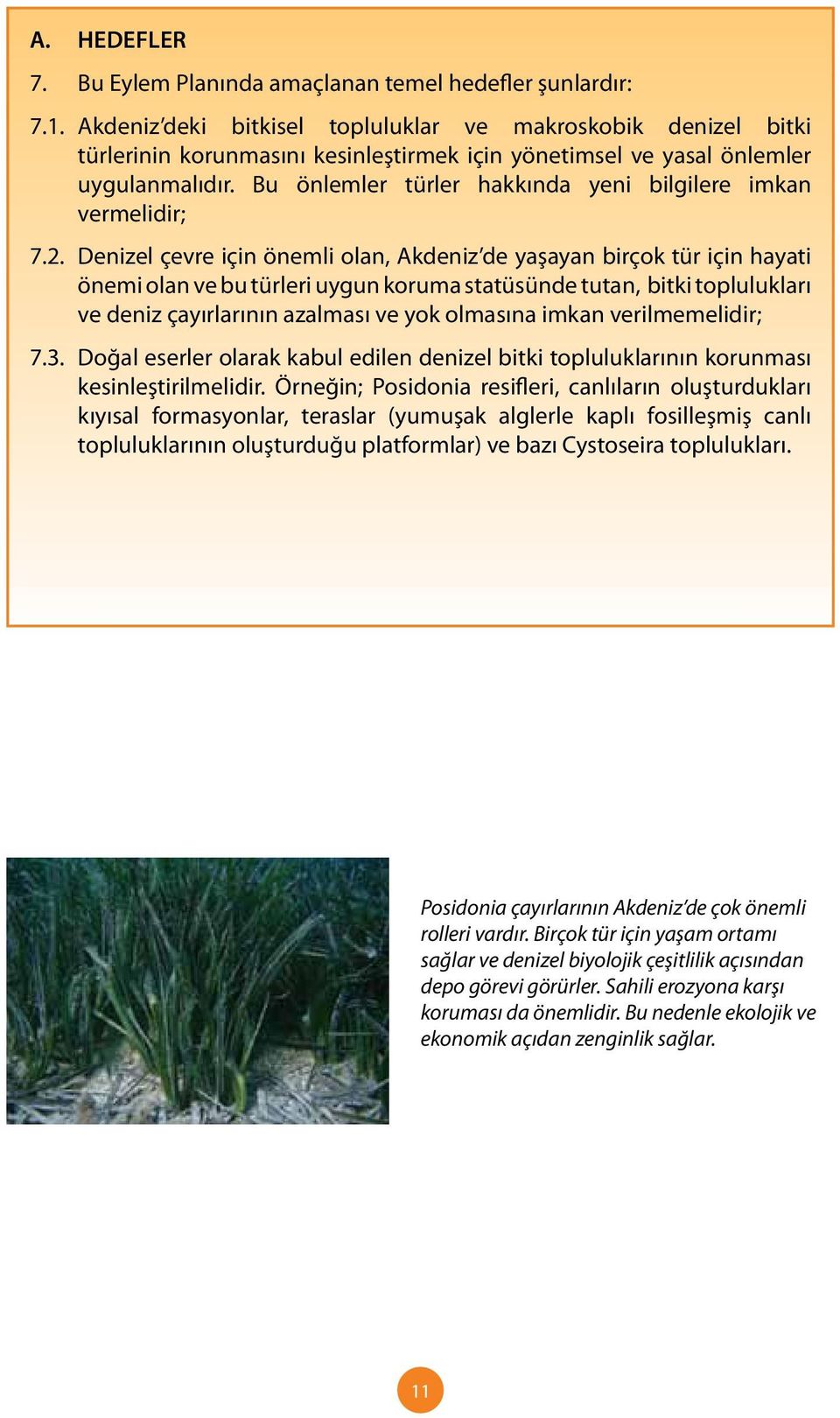 Bu önlemler türler hakkında yeni bilgilere imkan vermelidir; 7.2.