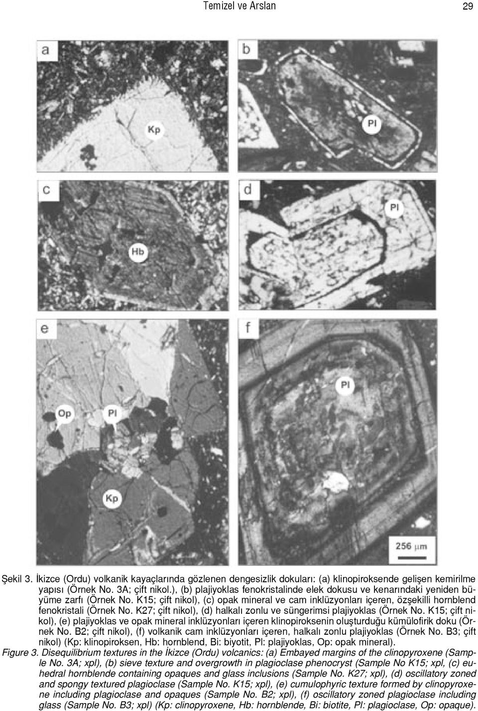 K27; çift nikol), (d) halkal zonlu ve süngerimsi plajiyoklas (Örnek No. K15; çift nikol), (e) plajiyoklas ve opak mineral inklüzyonlar içeren klinopiroksenin oluflturdu u kümülofirik doku (Örnek No.