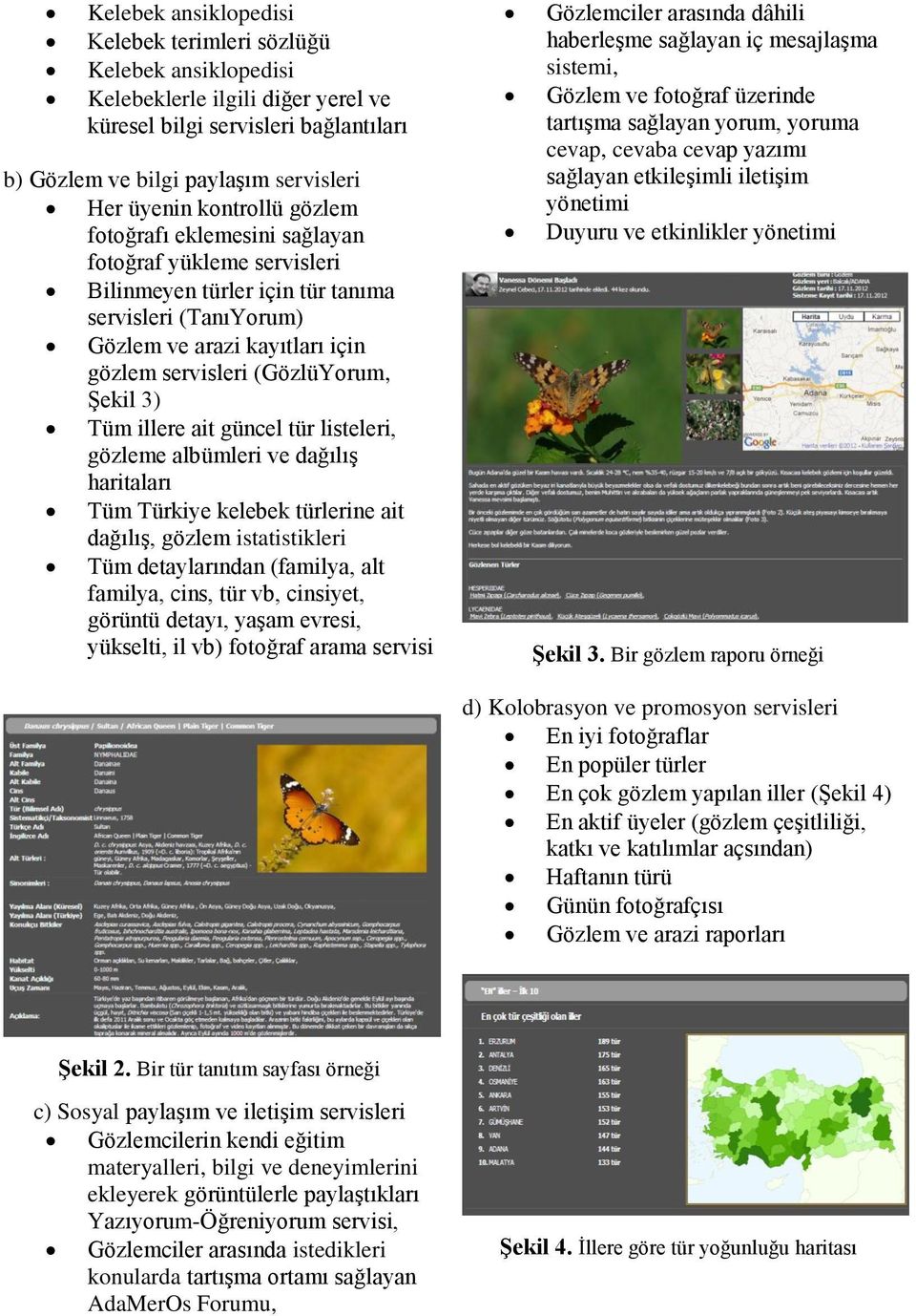 3) Tüm illere ait güncel tür listeleri, gözleme albümleri ve dağılış haritaları Tüm Türkiye kelebek türlerine ait dağılış, gözlem istatistikleri Tüm detaylarından (familya, alt familya, cins, tür vb,