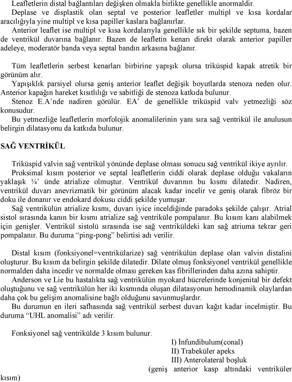 Anterior leaflet ise multipl ve kısa kordalarıyla genellikle sık bir şekilde septuma, bazen de ventrikül duvarına bağlanır.