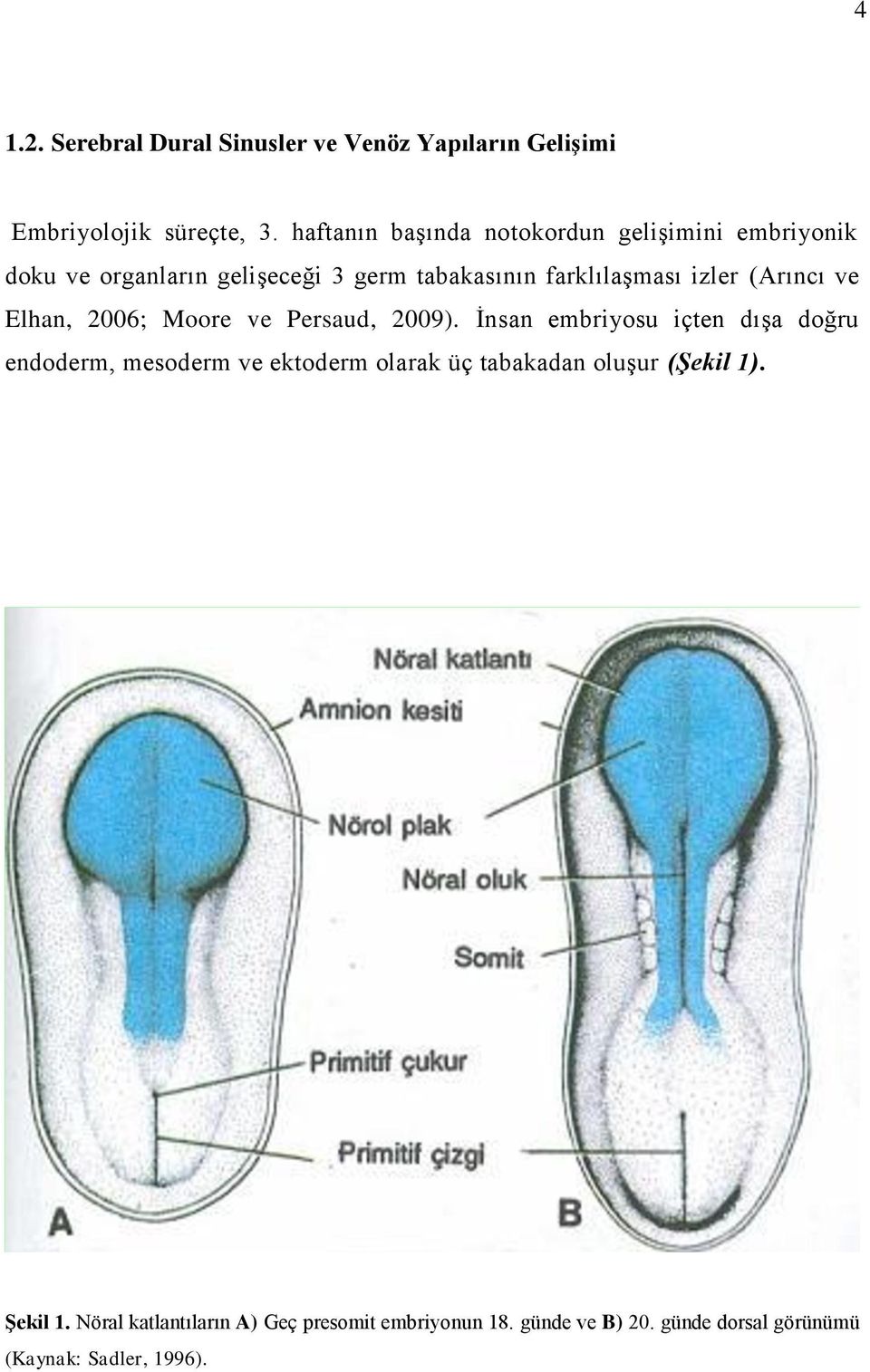 (Arıncı ve Elhan, 2006; Moore ve Persaud, 2009).