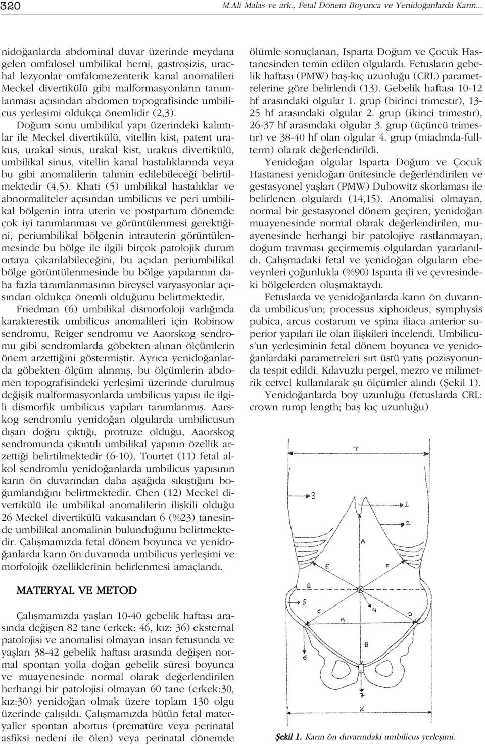 mlanmas aç s ndan abdomen topografisinde umbilicus yerleflimi oldukça önemlidir (2,3).