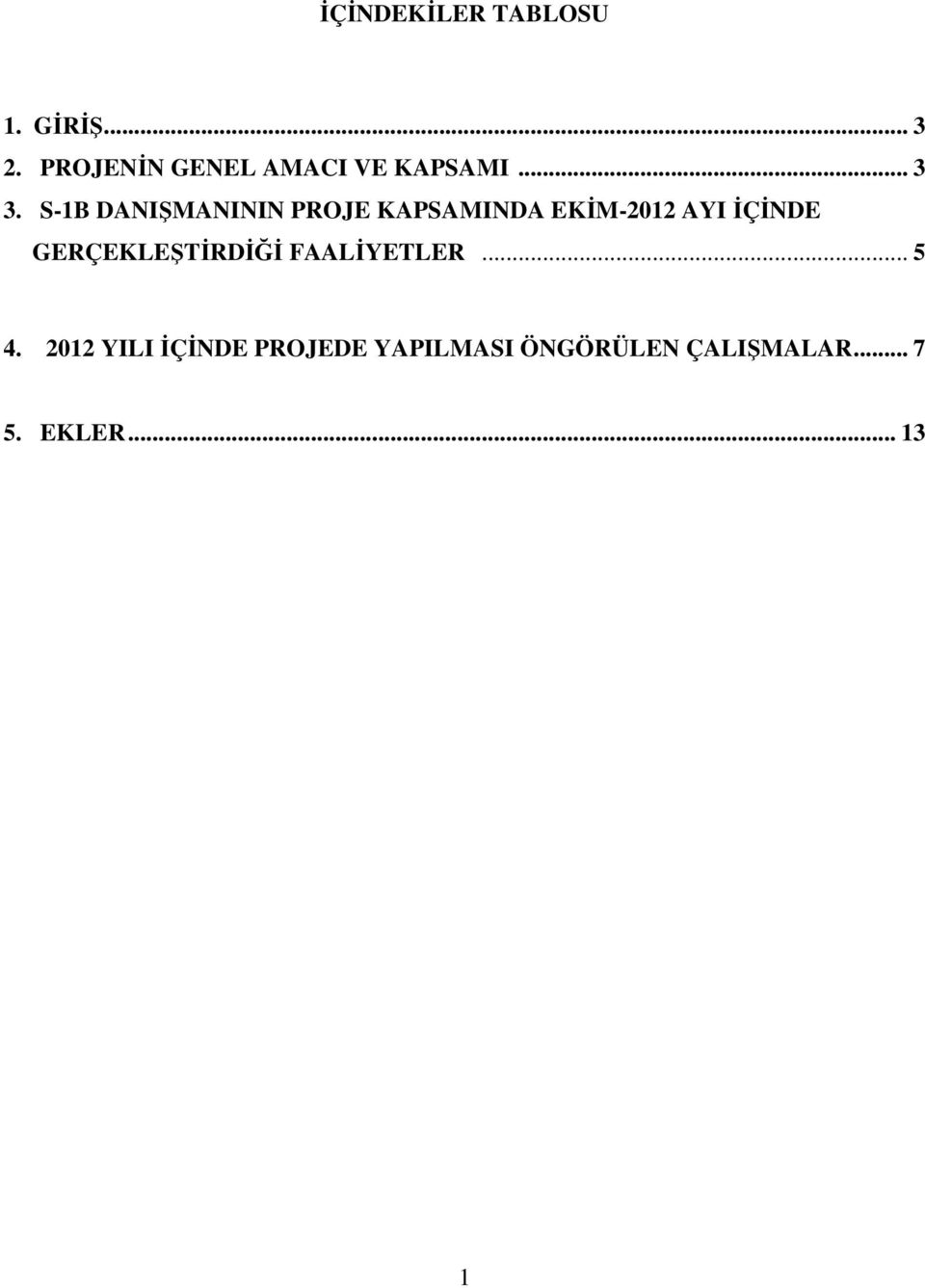 S-1B DANIŞMANININ PROJE KAPSAMINDA EKİM-2012 AYI İÇİNDE