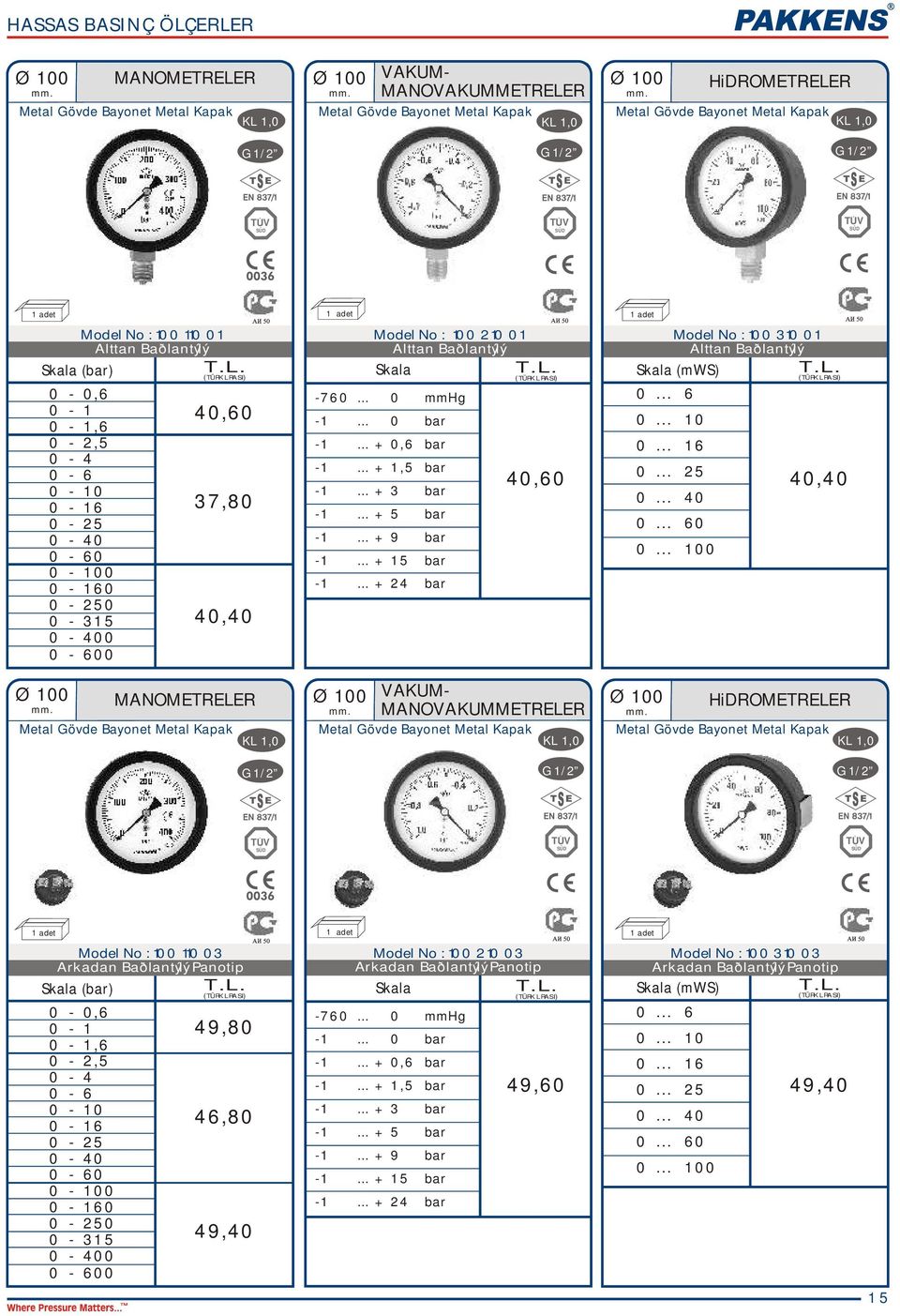 .. + 3 bar Model No : 100 310 01 Skala (mws) 0... 6 0... 10 0... 16 0... 25 0... 40 0... 60 0.